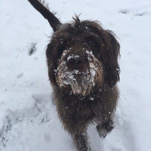 Meet your Posher, Ella